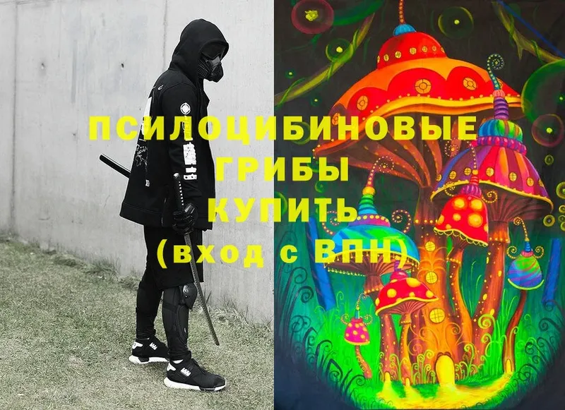 Галлюциногенные грибы MAGIC MUSHROOMS Заозёрск